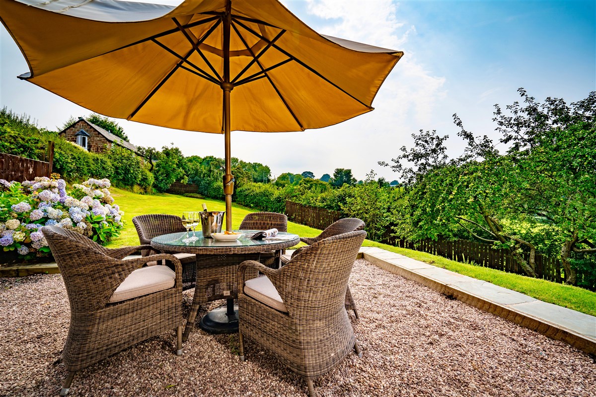 Terrace and Garden