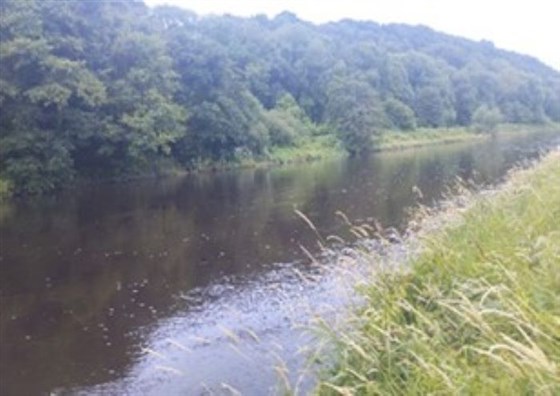 Blackwater Valley Fishery