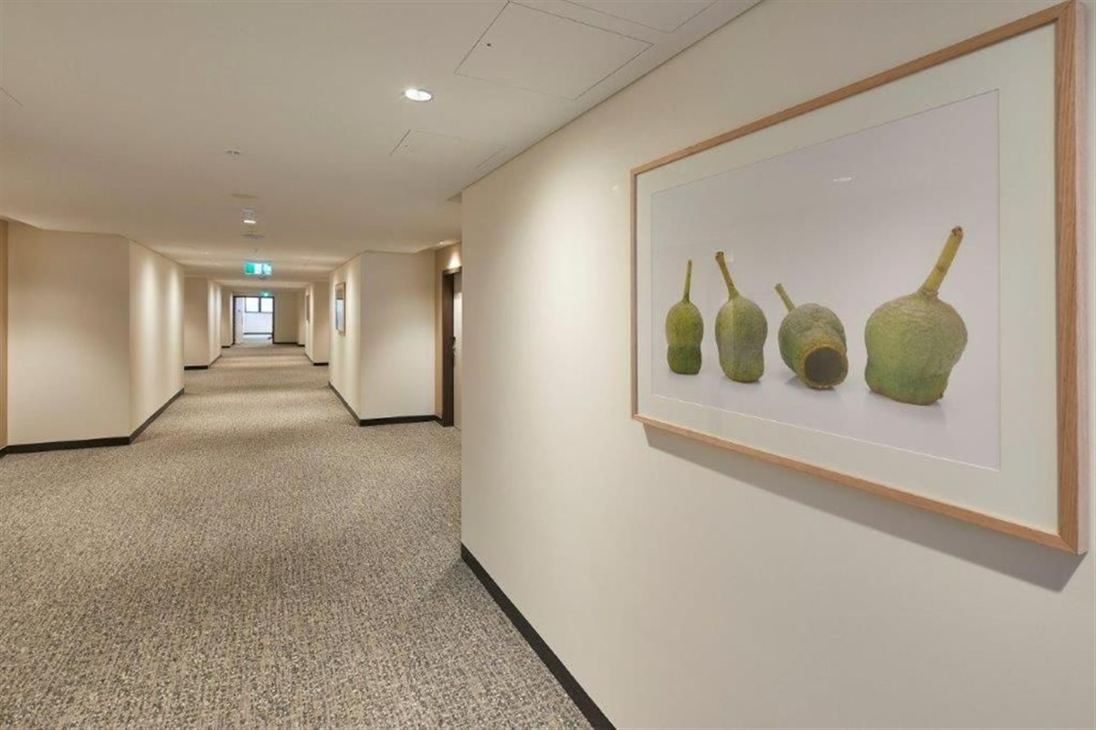Anderledy Lodge - Temuka Appartments
