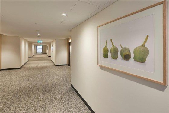 Anderledy Lodge - Temuka Appartments