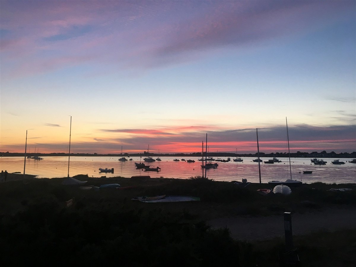 View from veranda
