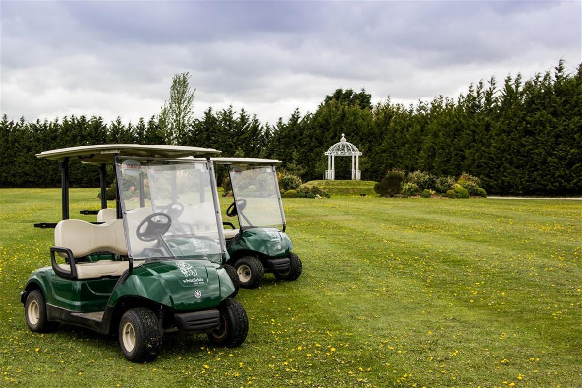 Voiturette de golf