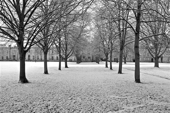 Nevicata sulla Domus