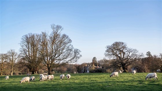 Chilston Park Hotel