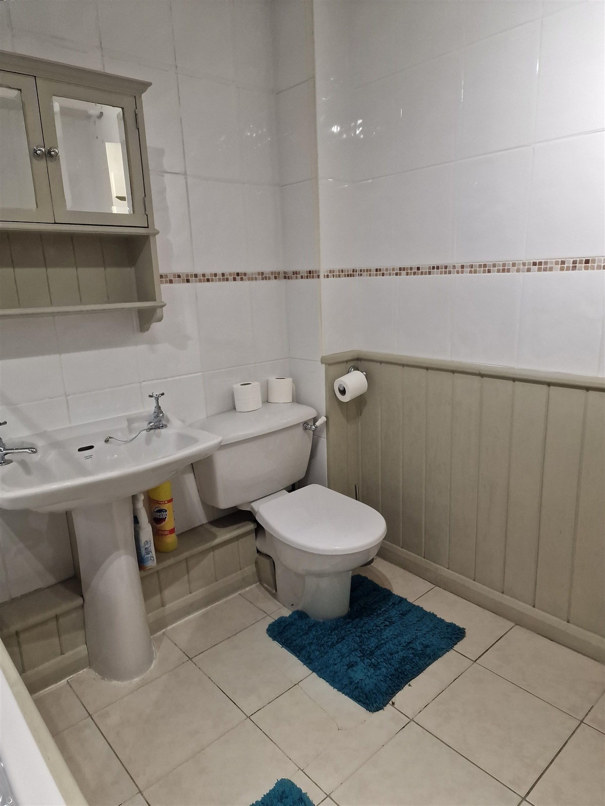 Baño en 1er piso