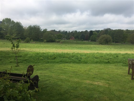 View over meadow