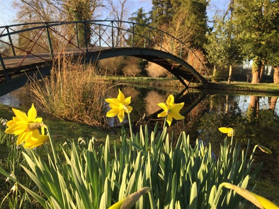 Chippenham Gardens