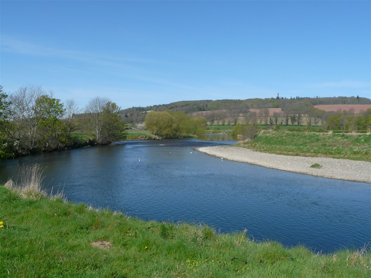 Monteviot Beat