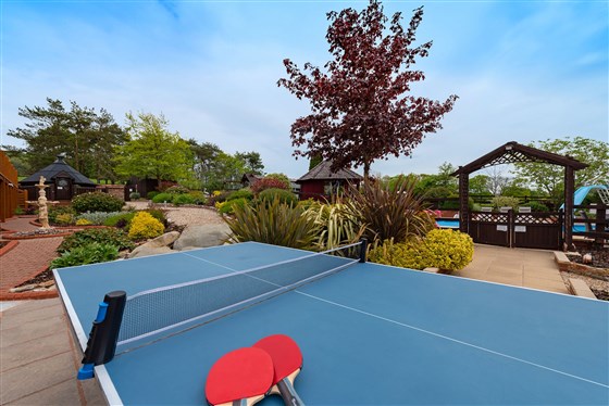 Anyone for table tennis?