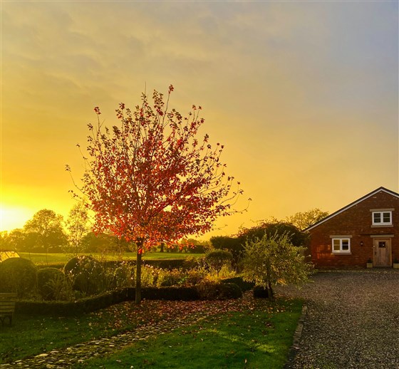 Detached barn B&B