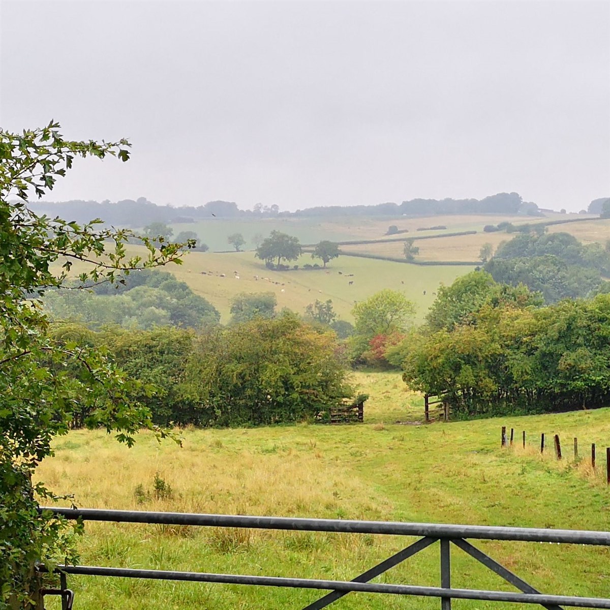 Holly Cottage B&B, Hagworthingham, Lincolnshire