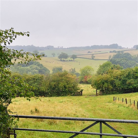 Holly Cottage B&B, Hagworthingham, Lincolnshire