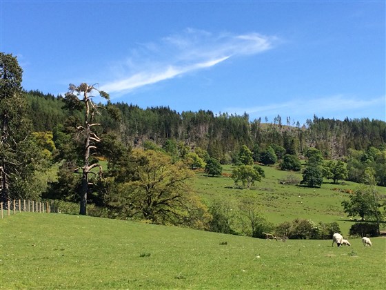 Leny View