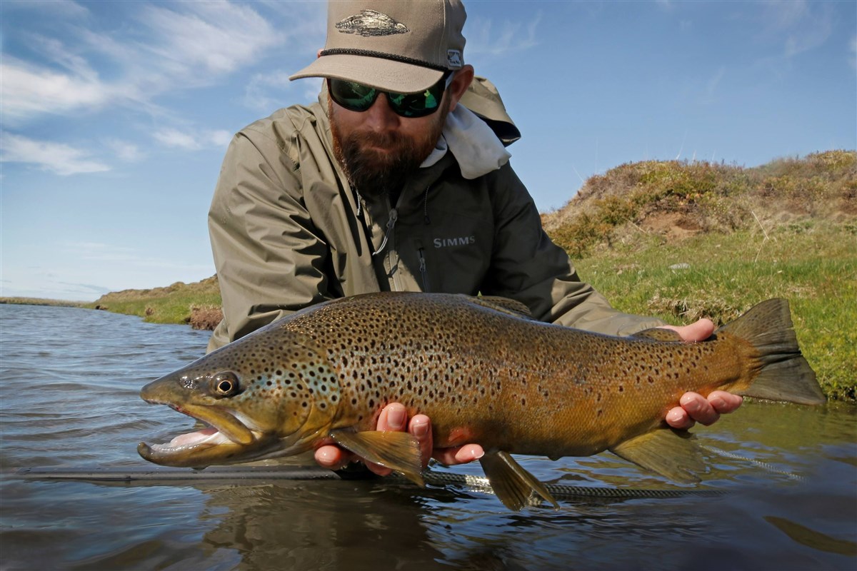 Beat Laxa Arbot big brownie