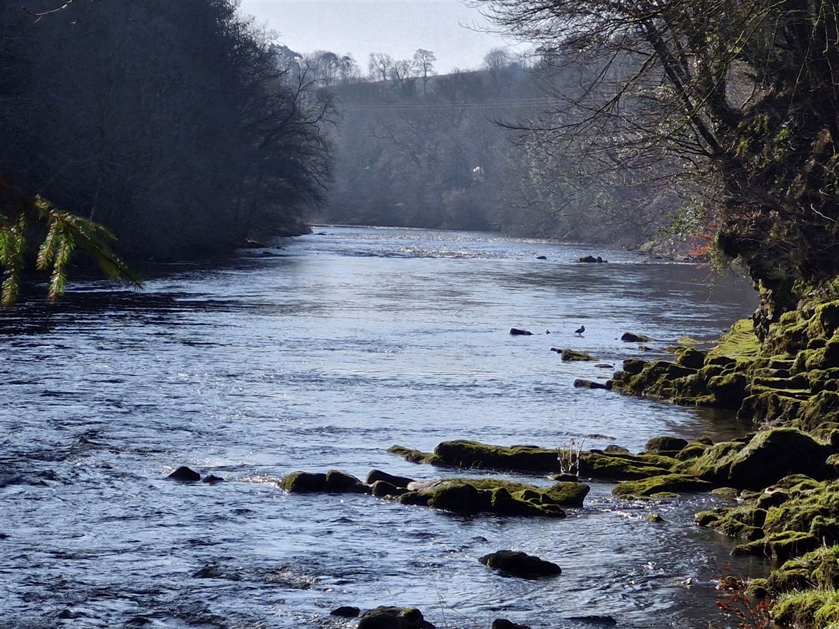 Border Esk