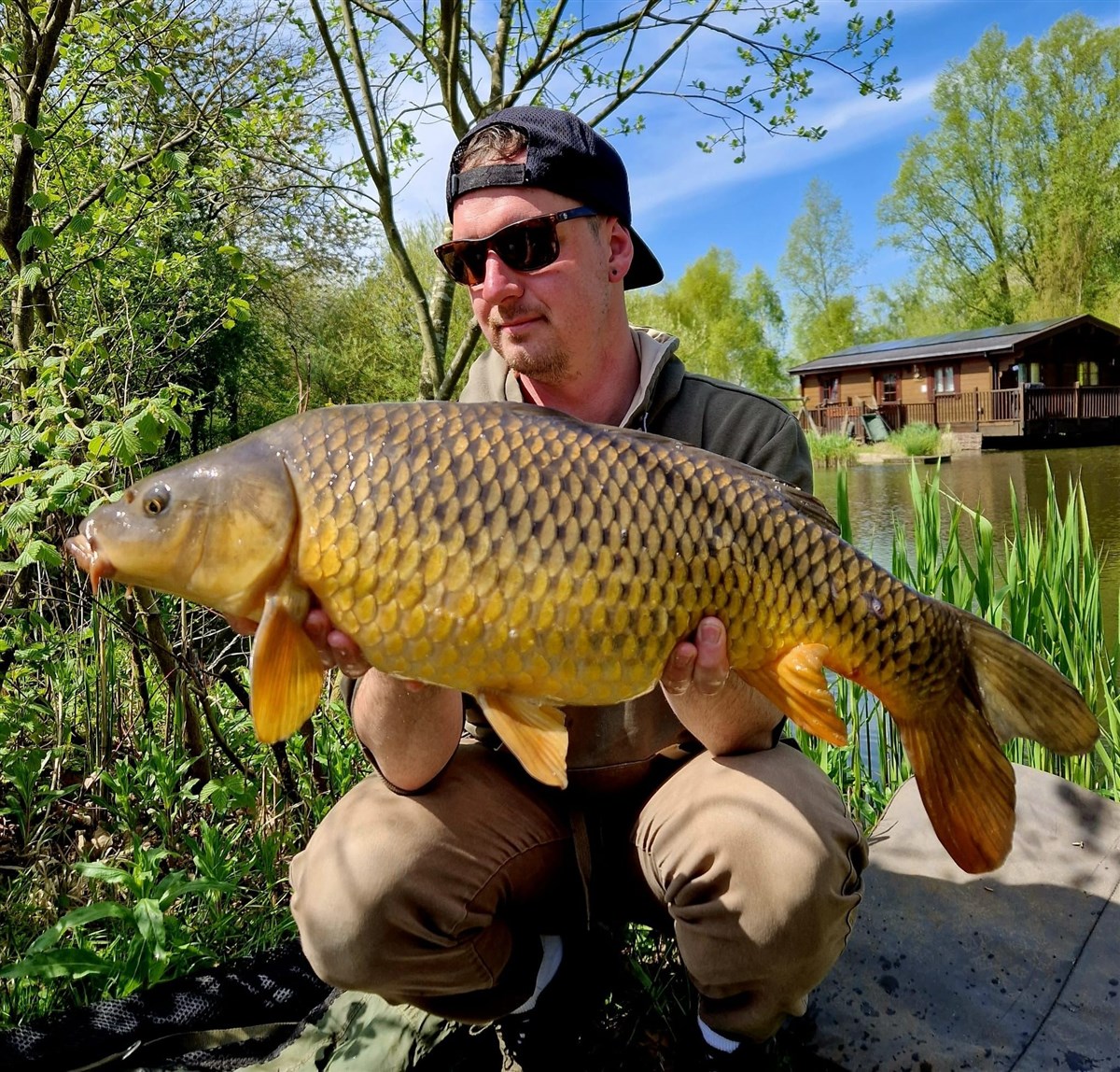 Common carp