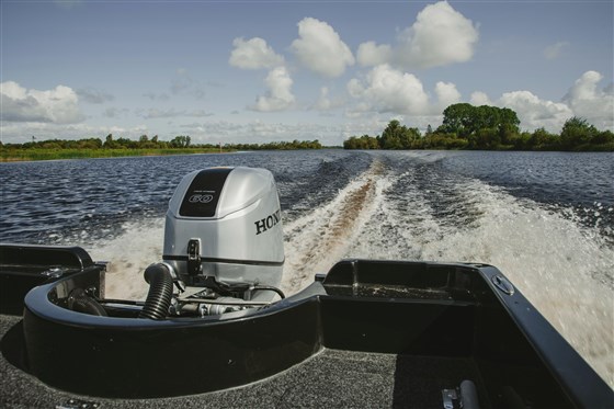 Watershed Fly Fishing