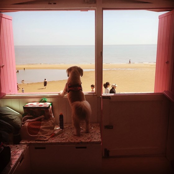 View from inside with windows open