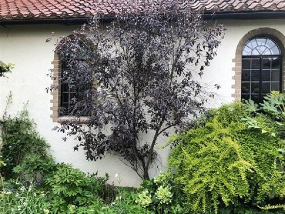 House of Retreat Pleshey