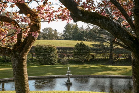 The Lake Fountain with Blossom