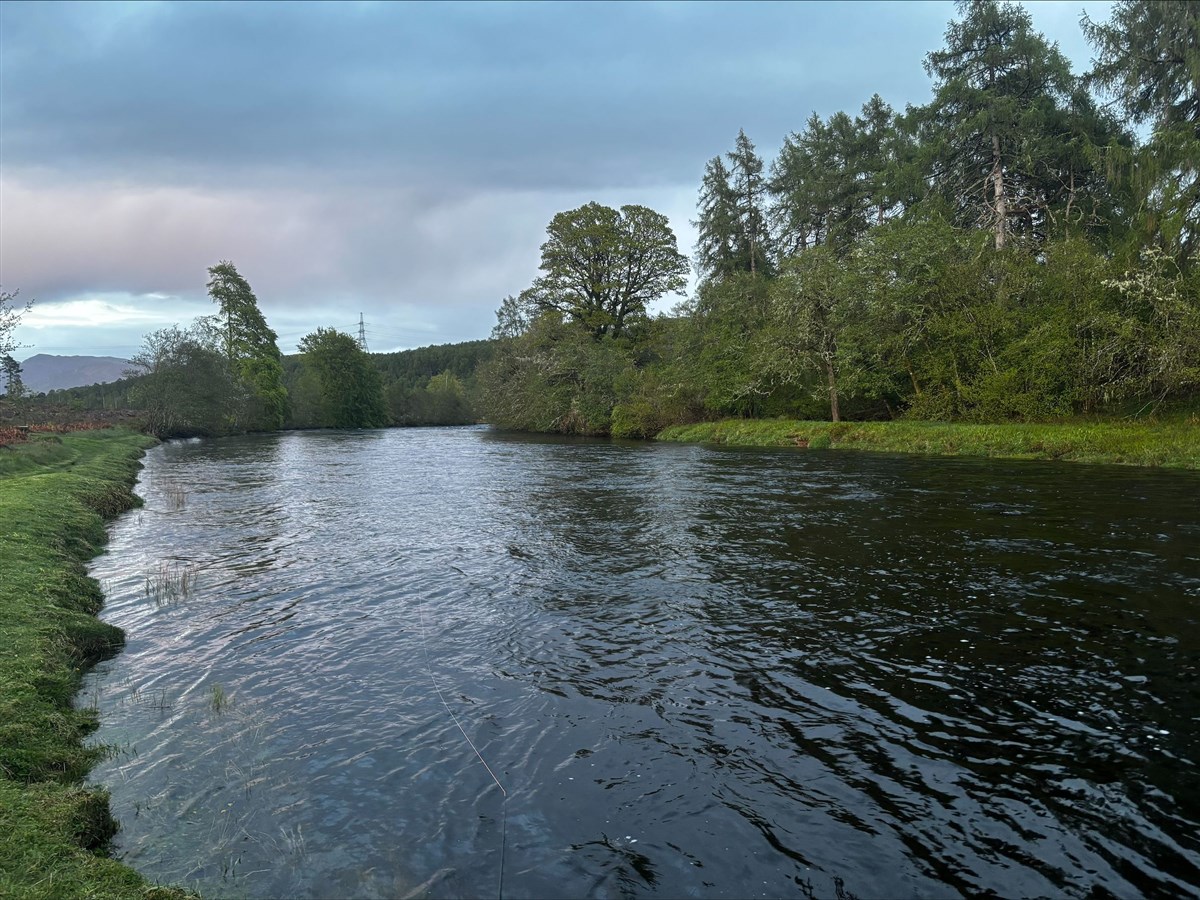 Glendoe Estate Oich