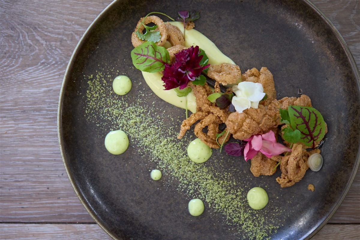 Calamari (starter)