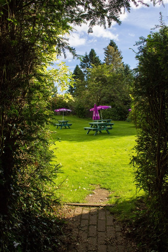Beer garden
