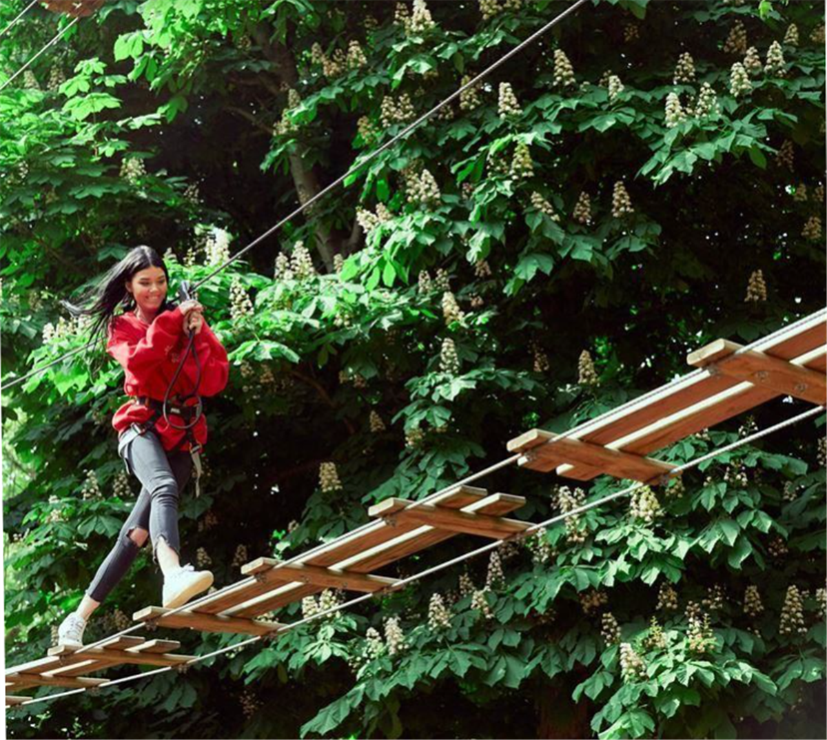 Go Ape