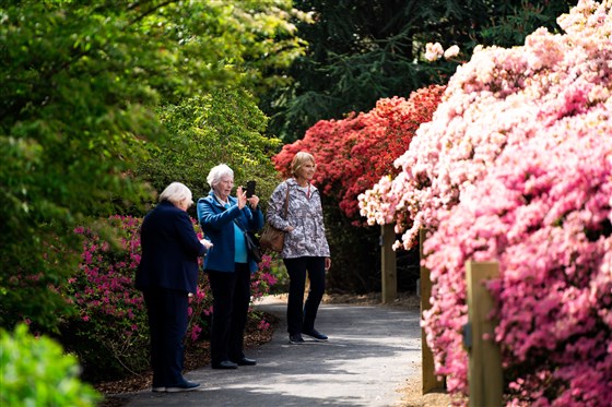 Spring walk