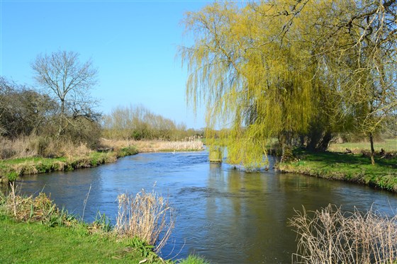 Spring