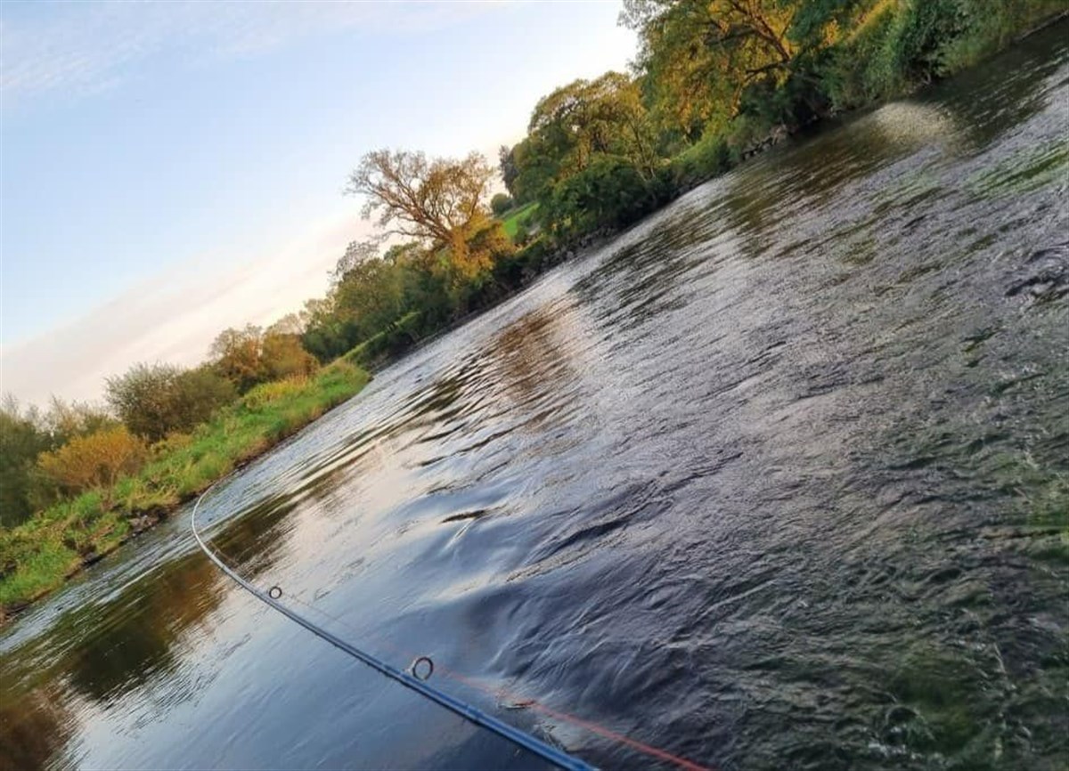 Blackwater Valley Fishery