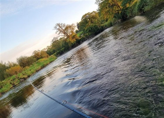 Blackwater Valley Fishery