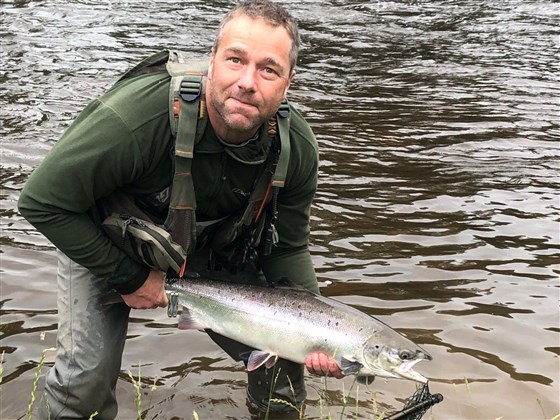 A fine fresh run summer salmon
