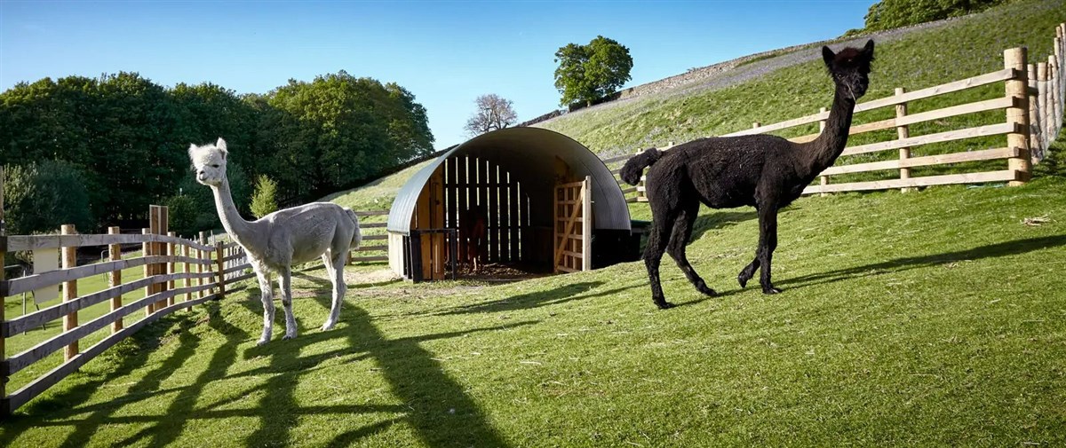 Howgill Lodge