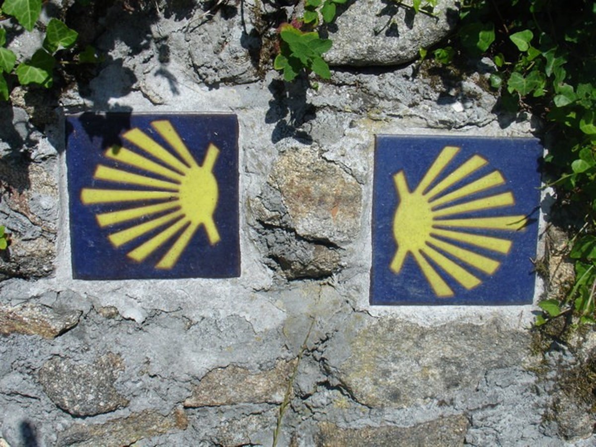 Ponte de Lima