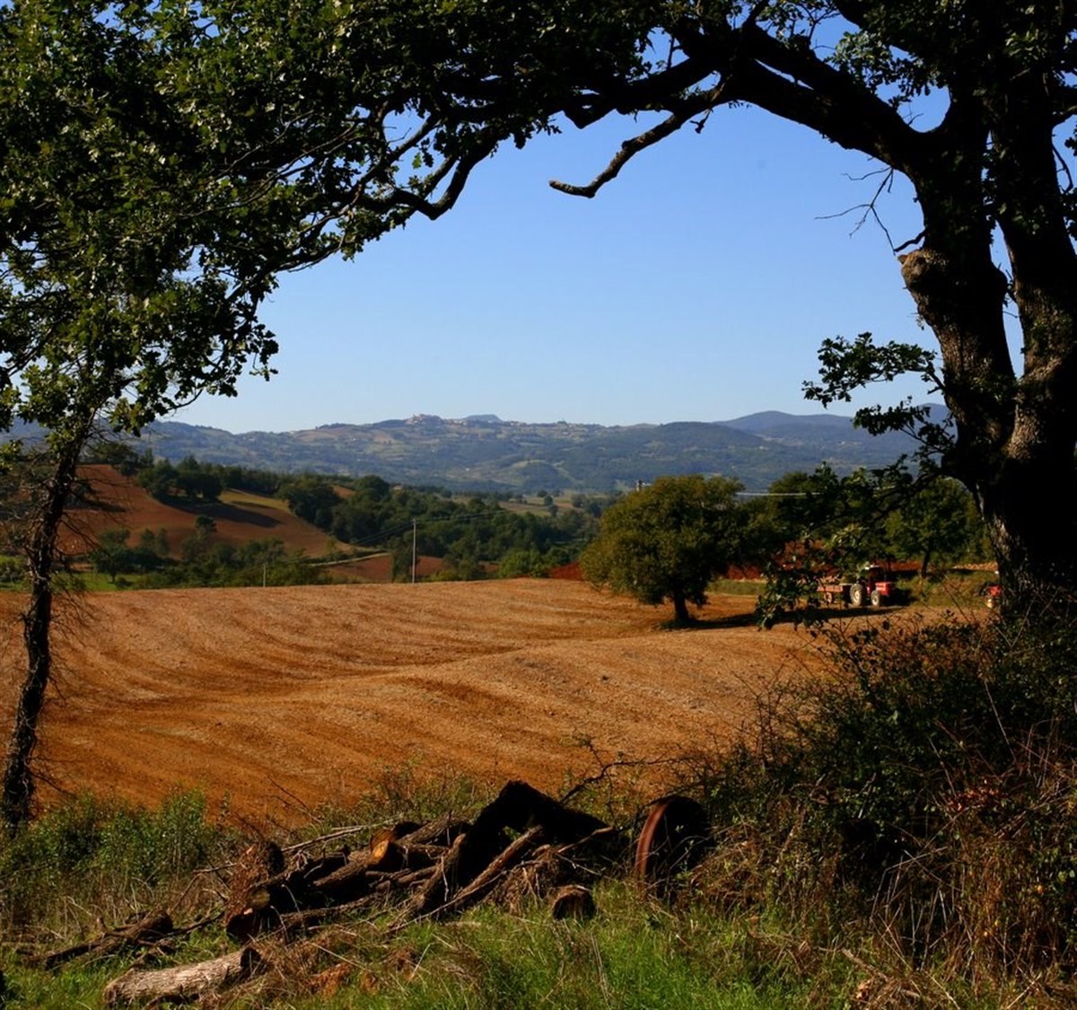 Territory