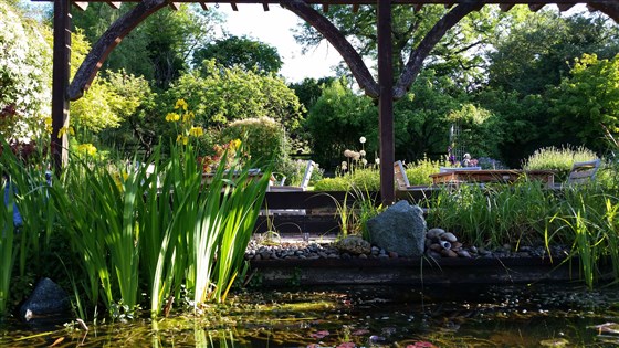 Summer