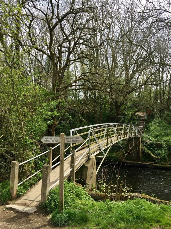 Wooden Garden Bridge