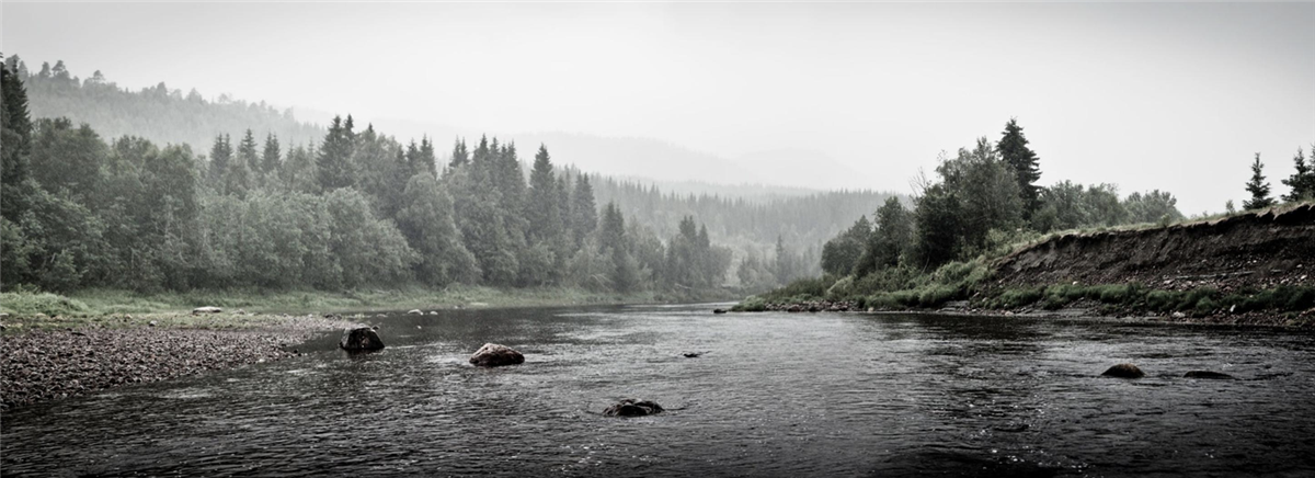 Misty mood