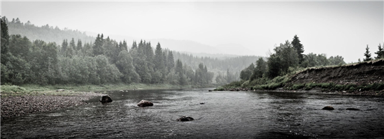 Misty mood