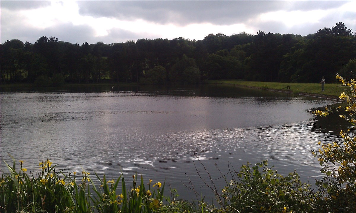 Dam wall