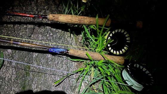 Sea Trout Night