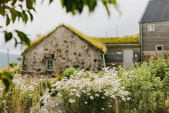 The Blackhouse cottage with herb garden