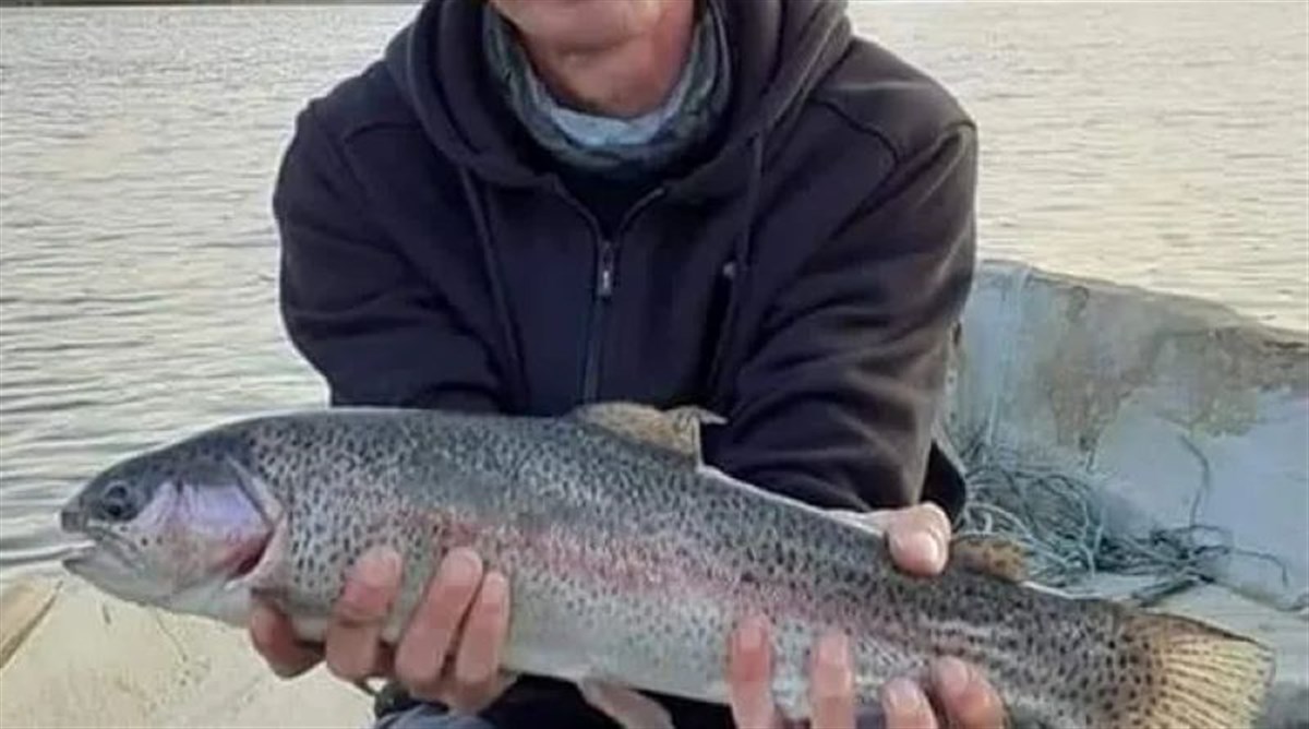 The Oaks Fishery