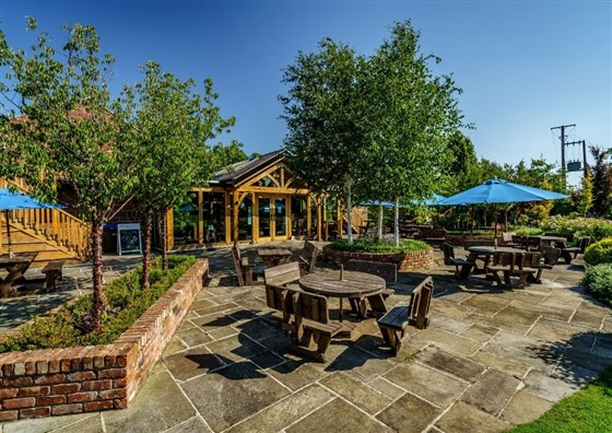 Beer garden and patio