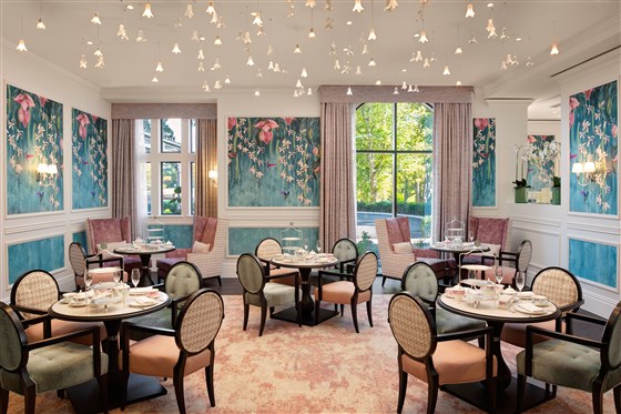 Orchid Tea Room