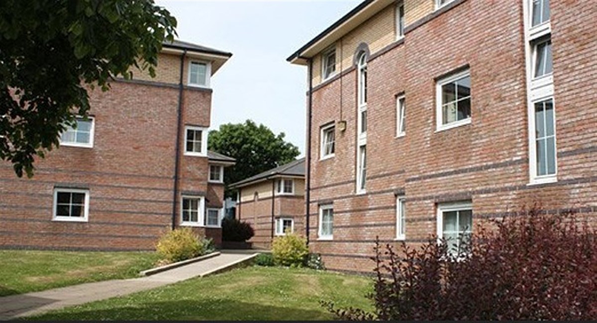 Chichester University
