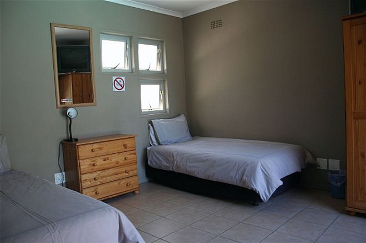 Quarto standard