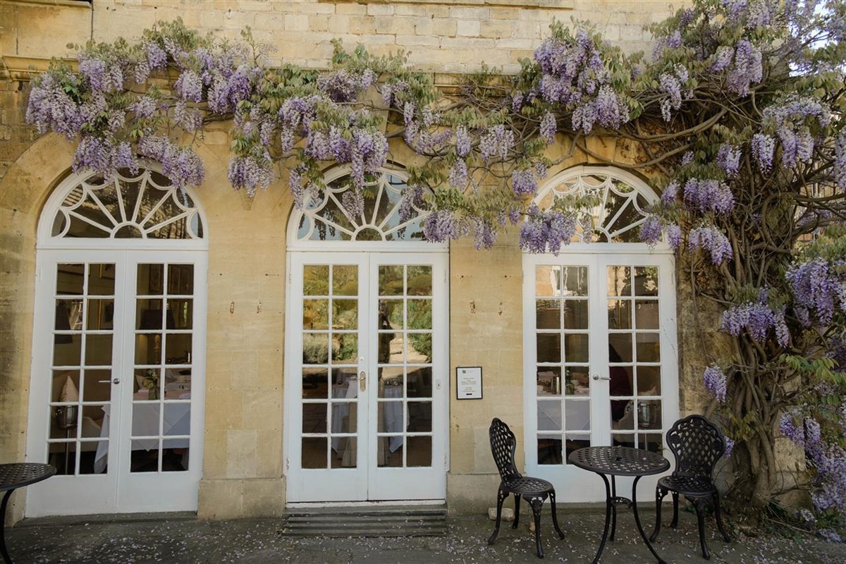 Wisteria outside Fig, wedding photo location