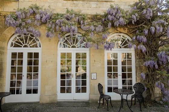 Wisteria outside Fig, wedding photo location